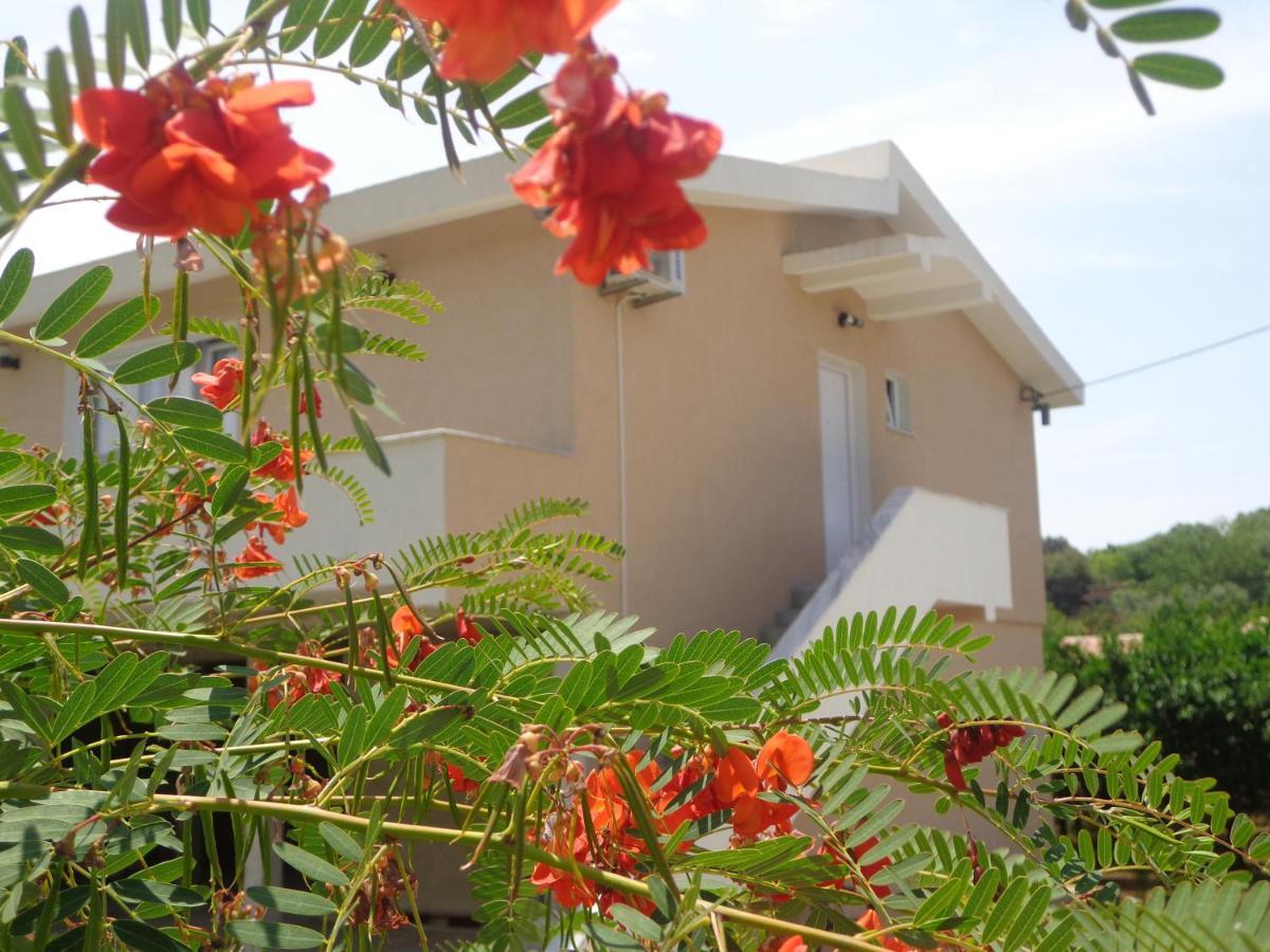 Apartments Pepdjonovic Ulcinj Extérieur photo