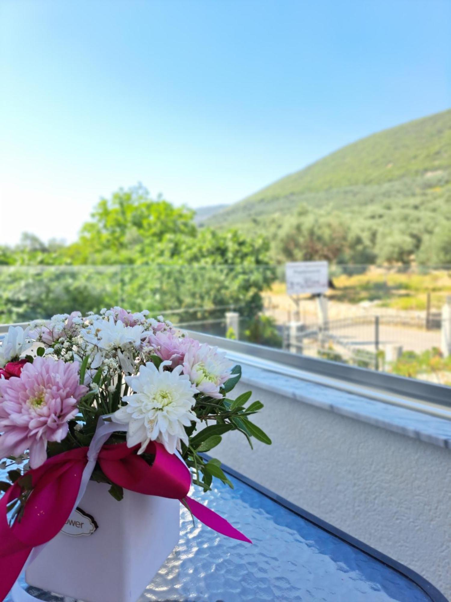 Apartments Pepdjonovic Ulcinj Extérieur photo
